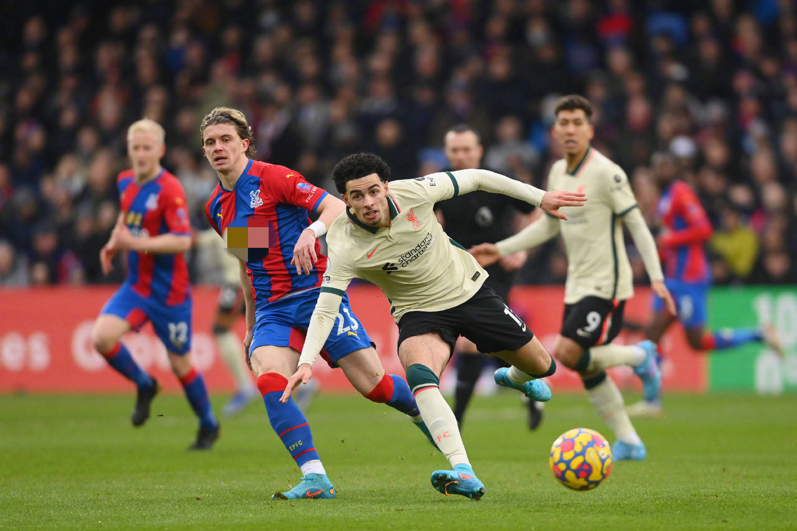 也为即将来 也为即将来